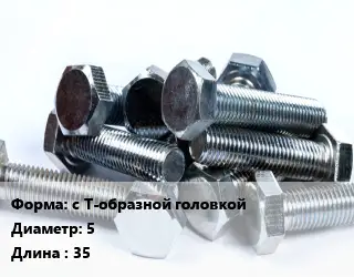 Болт с Т-образной головкой 5х35
